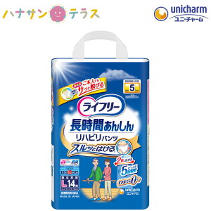 Ct[ nrpc L 14 1 jE`[  ނ lp pc^Cv AR A  pނ