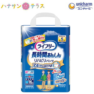 Ct[ nrpc M 16 1 jE`[  ނ lp pc^Cv AR A  pނ