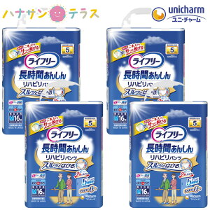 Ct[ nrpc M 16 4 1P[X  64 jE`[  ނ lp pc^Cv AR A  pނ