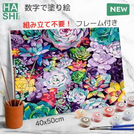 5%OFF! 数字油絵 アクリル絵具 塗り絵セット アートパネル 数字塗り絵 油絵風 アクリル絵の具 パズル塗り絵 おしゃれ ナンバーペイント 多肉 フレーム付 は組立不要 大人の塗り絵 油絵 油絵塗り絵 多肉植物 40x50cm インテリア 数字キット 絵描き 花 壁飾り 暇つぶし 父の日