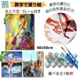 20%OFF! 数字油絵 大人の塗り絵 風景 趣味 数字塗り絵 パリ フレーム付 50x40cm パズル塗り絵 アートパネル 人物 ファブリック 絵画 油絵セット 塗り絵キット インテリア パズル絵 壁飾り 壁掛け 暇つぶし 退職祝い お絵描き 絵 母の日 ははの日 ギフト 脳トレ ストレス発散