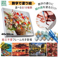 5%OFFクーポン 売れ筋No.1 人気 大人の塗り絵 絵画 27種 ナンバーペイント アクリル絵の具 春の花かご 数…