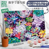 【390円OFFクーポン】 数字油絵 数字 塗り絵 絵の具 大人の塗り絵 脳トレ塗り絵 花 多肉植物 バラ フレー…