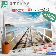 【390円OFFクーポン】 数字塗り絵 数字 塗り絵 フレーム付 アートパネル 海 桟橋 数字油絵 油絵塗り絵 大…