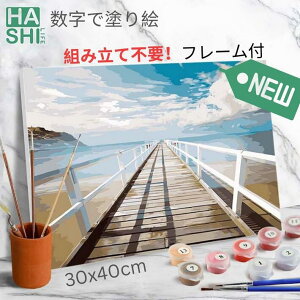 hV̓ LO hG hGZbg t[t gsv V G GhG l̓hG G i Infinity bridge 30x40cm G C r[` Ǐ CeAG 