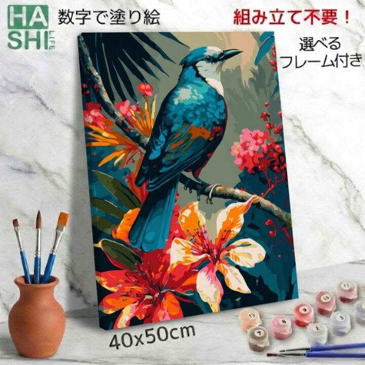 数字油絵 オウム羽 数字塗り絵 DIY 手绘礼品 ペイントバイナンバー キット 大人用 DIY番号絵画 ペイントバイナンバーキット Amazon | ペイントバイナンバーキット  DIY Painting By Numbers 大人子供用 数字油絵 数字绘画 Diy礼品 无框 45x60cm DIY番号絵画 成人儿童数字 ... 数字油絵 オウム羽 数字塗り絵 DIY 手绘礼品 ペイントバイナンバー キット 大人用 DIY番号絵画 ペイントバイナンバーキット