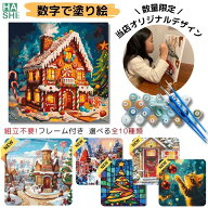 【SALE10%OFF】 数字 塗り絵 絵の具 クリスマス アート 大人の塗り絵 フレーム付 ナンバーペイント 数字…