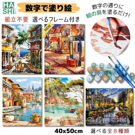 新作 数字油絵 大人の塗り絵 絵画 風景 数字塗り絵 ヨーロッパ 街並み フレーム付き ナンバーペイント 組立不要 50x40cm パズル塗り絵 油絵塗り絵 油絵セット アクリル絵の具 インテリア アートパネル 玄関 パズル絵 認知症予防 ペイントバイナンバー 入院中 暇つぶし ギフト