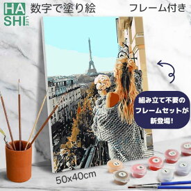5%OFF 数字油絵 大人の塗り絵 数字塗り絵 フレーム付 50x40cm パズル塗り絵 ナンバーペイント アートパネル 人物 絵画 油絵セット 塗り絵キット インテリア 壁飾り 壁掛け 暇つぶし お絵描き 絵 趣味 ストレス発散 誰でも画伯 バイオリン バレリーナ 認知症予防 ボケ防止