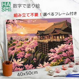 大人の塗り絵 絵画 風景画 塗り絵キット 油絵塗り絵 京都 清水寺 世界遺産 フレーム付き 数字油絵 数字塗り絵 パズル塗り絵 40x50cm 油絵セット アートパネル 絵 アクリル絵具 ナンバーペイント インテリア ぬりえ diy油絵 入院 暇つぶし アート 退職 趣味 ホワイトデー 休暇