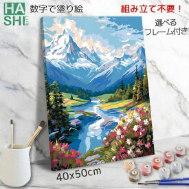 再販! 数字油絵 塗り絵 絵の具で描く 大人の塗り絵 脳トレ塗り絵 アルプスの雪解け 山 組立不要 フレーム付 数字塗り絵 アート 塗り絵 40x50cm 風景 田舎 認知症予防 油絵塗り絵 インテリア おしゃれ アートパネル 絵画 数字キット 油絵セット リハビリ ボケ防止 脳トレ