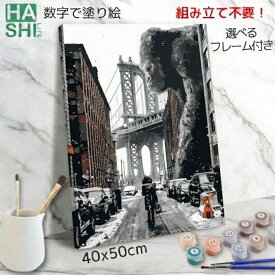新作 数字油絵 数字 塗り絵 絵の具で描く 大人の塗り絵 脳トレ塗り絵 キングコング 組立不要 フレーム付 数字塗り絵 アート 塗り絵 40x50cm 認知症予防 油絵塗り絵 かっこいいインテリア おしゃれ アートパネル 絵画 数字キット 油絵セット リハビリ ボケ防止 脳トレ 高齢者