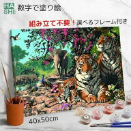 数字油絵 塗り絵 絵の具 大人の塗り絵 脳トレ塗り絵 トラ 動物 フレーム付 数字塗り絵 アート 塗り絵 40x…