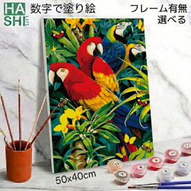 数字油絵 塗り絵 絵の具で描く 大人の塗り絵 脳トレ塗り絵 南国 オウム 王蟲 組立不要 フレーム付 数字塗り絵 アート 塗り絵 40x50cm 認知症予防 油絵塗り絵 インテリア おしゃれ アートパネル 絵画 数字キット 油絵セット リハビリ ボケ防止 脳トレ ダイヤモンドアート