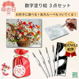 敬老の日 ギフト 選べる 人気3点セット 大人の塗り絵 絵の具 DIY アート 母の日プレゼント ギフトラッピング 塗り絵セット 数字塗り絵 数字油絵 義母 プレゼント 油絵キット 40x50cm アート フレーム付 油絵風 絵画 贈り物 アクリル絵の具 油絵セット 油絵塗り絵 脳トレ
