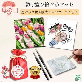 敬老の日 ギフト 選べる 4点セット 大人の塗り絵 絵の具 DIYアート 母の日プレゼント 数字 塗り絵 アート 数字油絵 塗り絵セット 絵 珍しい プレゼント 花以外 初心者向け 油絵キット 20x20cm 義母 絵画 贈り物 アートパネル アクリル絵の具 油絵セット 油絵塗り絵 暇つぶし