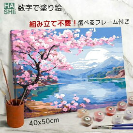 母の日 ギフト 数字油絵 塗り絵 絵の具で描く 大人の塗り絵 脳トレ塗り絵 桜 春 湖畔の桜 風景 組立不要 フレーム付 数字塗り絵 アート 塗り絵 40x50cm 認知症予防 油絵塗り絵 インテリア おしゃれ アートパネル 絵画 数字キット 油絵セット リハビリ ボケ防止 脳トレ 高齢者