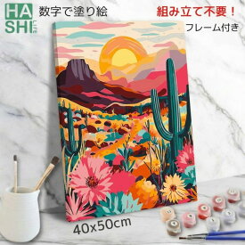 数字油絵 塗り絵 絵の具で描く 大人の塗り絵 サンセット サボテン ビンテージ風 組立不要 フレーム付 数字塗り絵 アート 塗り絵 40x50cm 韓国インテリア 油絵塗り絵 インテリア おしゃれ アートパネル 絵画 数字キット 油絵セット リハビリ ボケ防止 脳トレ 脳トレ塗り絵