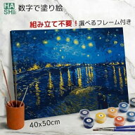 【クーポンで5%OFF】 大人の塗り絵 ゴッホ 名画 ローヌ川の星月夜 絵画 バンゴッホ アートパネル 数字 大…