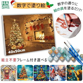 売れ筋! 数字 大人 塗り絵 数字油絵 ぬりえセット 絵の具 数字塗り絵 油絵風アート 冬 ナンバーアート フレーム付 クリスマス ツリー 飾り ナンバーペイント 大人の塗り絵 アクリル絵の具 油絵塗り絵 アートパネル 数字アート 絵画 40x50cm インテリア diy油絵
