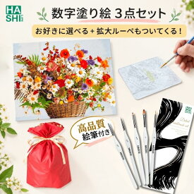 芸術の秋 敬老の日 ギフト 選べる人気3点セット 大人の塗り絵 絵の具 DIY アート 母の日プレゼント ラッピング 塗り絵セット 数字 塗り絵 数字つき 数字油絵 義母 プレゼント 油絵キット 40x50cm フレーム付 油絵風 絵画 贈り物 アクリル絵の具 油絵セット 油絵塗り絵