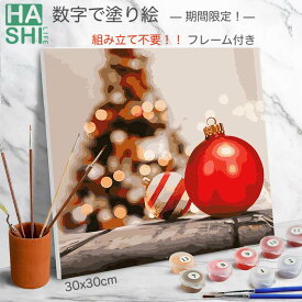 LINE300円OFF! 数字油絵 大人の塗り絵 油絵 数字塗り絵 インテリア おしゃれ 数字で塗り絵 オーナメント 赤 30x30cm 組立不要 フレーム付 クリスマス 装飾 油絵塗り絵 DIYアート アクリル絵の具 塗り絵 アートパネル 塗り絵セット インテリア雑貨 壁飾り diy 絵画 暇つぶし