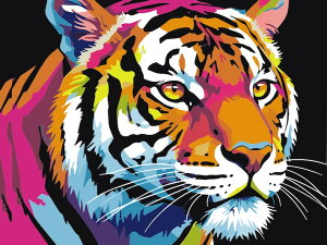 HLbg yCgoCio[ hG G ȒP w ˂ G R S ANG̋ CeA G L fBYj[ v[ t[t 30x40cm GZbg 