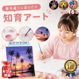 2点+送料無料! 夏休み 工作 1-2日で完成! 塗り絵セット ぬりえ お絵描きセット 自由研究 キット 室内遊び 知育 工作キット 絵の具 絵 小学生 数字 塗り絵 知育アート 子供 お絵かき 知育玩具 誕生日プレゼント 9歳 おもちゃ 20x20cm 6歳 7歳 8歳 10歳 11歳 女の子 プレゼント