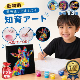 LINE300円OFF! 数字 塗り絵 絵の具 知育 アート 【2点+送料無料】 敬老の日 手作り 冬休み 小学生 工作 キット 子供 お絵描きセット キッズ 自由研究キット 塗り絵キット ぬりえ 宿題 アクリル絵の具 絵 20x20cm お絵描き 数字塗り絵 パズル おもちゃ 6歳 7歳 8歳 9歳 10歳