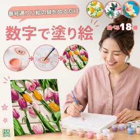 【2点で5%OFF】 キャンバス アートパネル 絵の具 DIY 本格アート 絵画 数字 塗り絵 大人の塗り絵 数字油絵 ストレス解消 フレーム付 ファブリックパネル モダン 北欧 数字で塗り絵 プチギフト アクリル絵の具 絵 ぬりえ 20x20cm 風景 花 アート インテリア パズル絵 退職