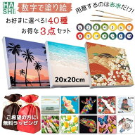 P5倍! ランキング1位 塗り絵セット 数字油絵 ギフト 選べる3点セット 誕生日 プレゼント 初心者向け 雪だ…