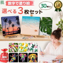 楽天市場】初心者 セット（絵画｜アート・美術品・骨董品・民芸品 