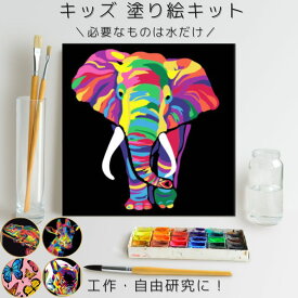 お絵描きセット 数字の通りに塗るだけ! 塗り絵キット 絵の具 キャンバス 可愛い動物 アートパネル お絵かき キッズ 初心者 子供 パズル絵 数字塗り絵 20x20cm フレーム付 壁飾り ぬりえ 数字 知育玩具 女の子 工作 幼児 園児 ぬりえ おうち時間 アートボード お絵かきセット