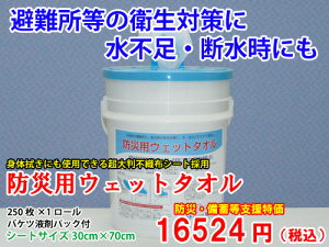 hЗpEFbg^IBT250 唻i28cm×70cmj@1P[XAґ΍//h/~