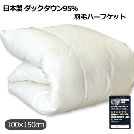 羽毛ハーフケット 日本製　羽毛布団 ハーフサイズ 100cm×150cm (150×100cm）　ダウン95％ おなかにやさしいケット 小さな羽毛布団 ベビー布団 warm 【RCP】【店頭受取対応商品】【6ss】