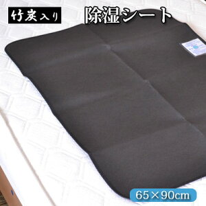 |Y LV[g V[g 65×90cm VJQ B^Cv VRf VJQ |Y CƊ̂ɂz xr[ ~zc WjA Q~ӂƂɂ