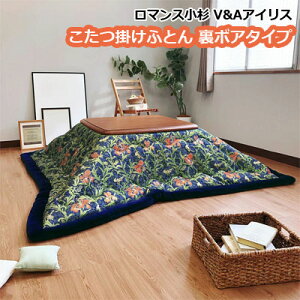 }X |zc ӂƂ {A^Cv V&A ACX