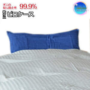 R hL h_j xAK[hnanov`iRbg sP[X Jo[@43×63cm