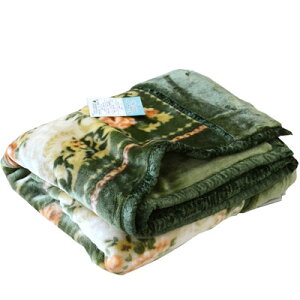 ѕz {  zM 􂦂ANѕz ܕt }C[킹ѕz VO 2킹ܕtѕz 140×200cm 3.0kg {[ѕz