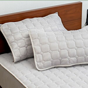 ܂pbh CICAƃVNveCł ⊴ Ђ k キ㐶n k pbh