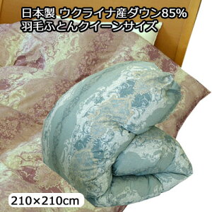 { ENCiY Vo[_bN_E 85 Hъ|ӂƂ Hѕzc _Ep[320 NC[ 210×210cm y12ssz