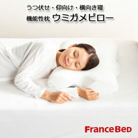 フランスベッド うつ伏せ 仰向け 横向き寝 低反発枕 ウミガメピロー 高さ調節可能な 茶カテキン入り 低反発枕 56×41×高さ12.5cm