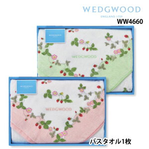  EFbWEbh@ChXgx[ oX^I 60×120cm WW4660 MtgZbg  O[ sN