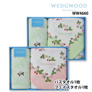  EFbWEbh ChXgx[ oX^ItFCX^I MtgZbg WW4660  O[ sN