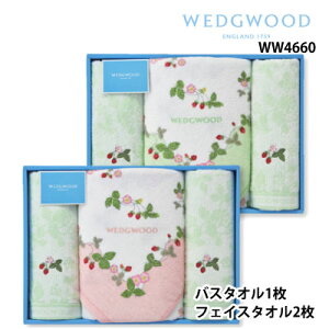  EFbWEbh ChXgx[ oX^I1{tFCX^I2{ MtgZbg WW4660  O[ sN