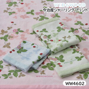 Y EFbWEbh tFCX^I {  34×75cm sN O[ u[ WW4602