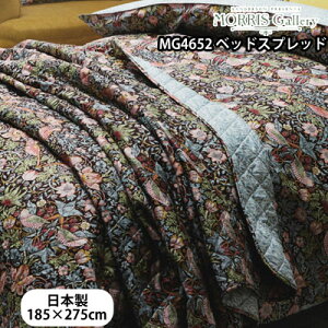  XEM[ T_[\ xbhXvbh xbhJo[ }`NX 185×275cm MG3604