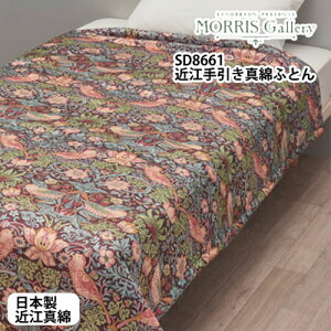 {  XM[ T_[\ ߍ]^Ȋ|zciVNPbgjSD8661 VOTCY150×210cm