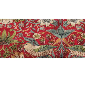 {  XM[ T_[\ ߍ]^Ȋ|zciVNPbgjSD8661 VOTCY150×210cm