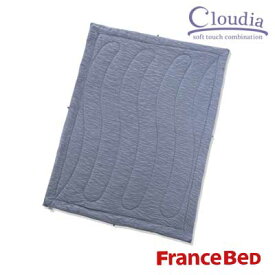 フランスベッド 潤い繊維 リフレス クラウディア 肌掛けふとん ダブル 190×210cm